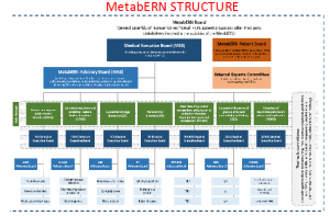 MetabERN Governace Structure